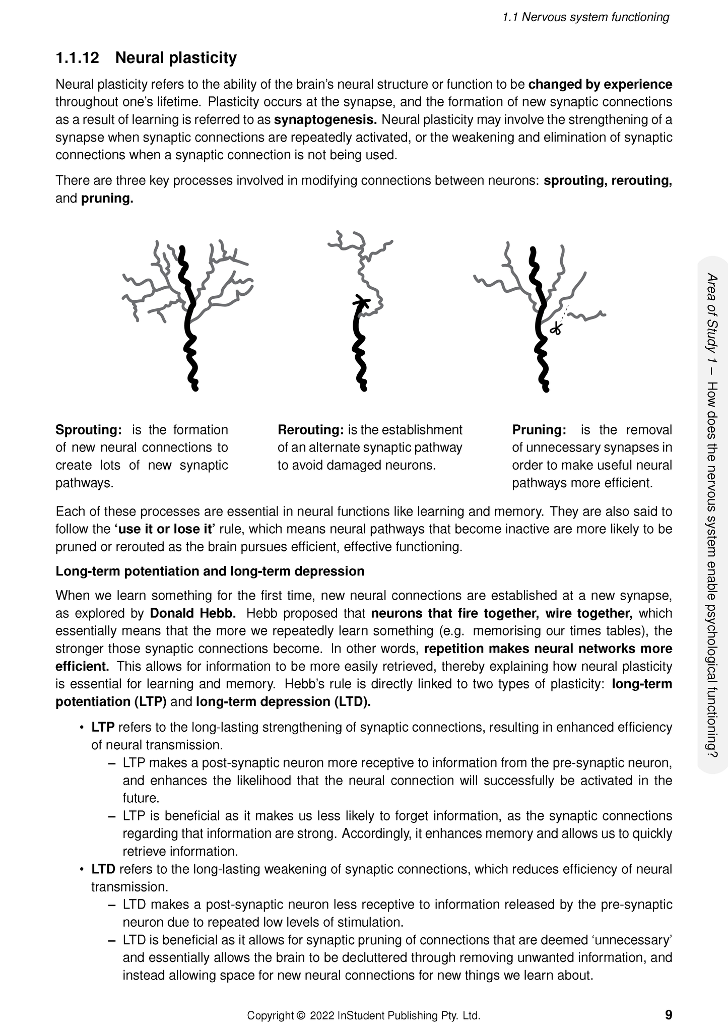 Educational course notes by ATAR Notes on neural plasticity, with definitions and diagrams of sprouting, rerouting, and pruning.