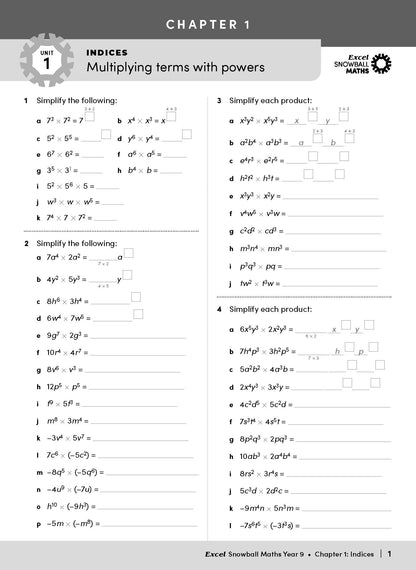 Excel Snowball - Maths Year 9