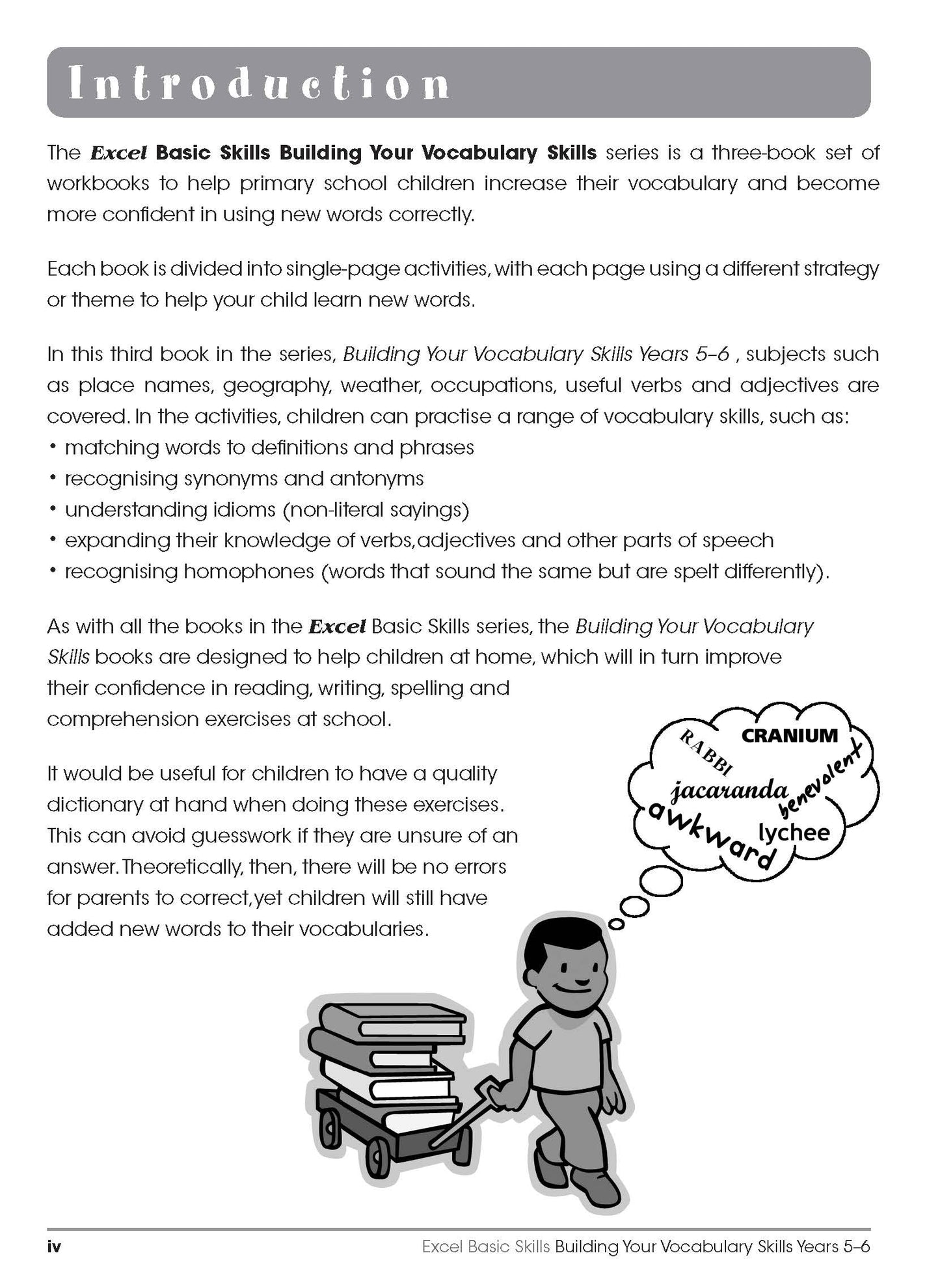 Excel Basic Skills - Building Your Vocabulary Skills Years 5-6