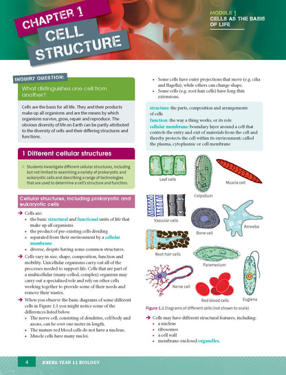 Excel HSC Year 11 Biology Study Guide