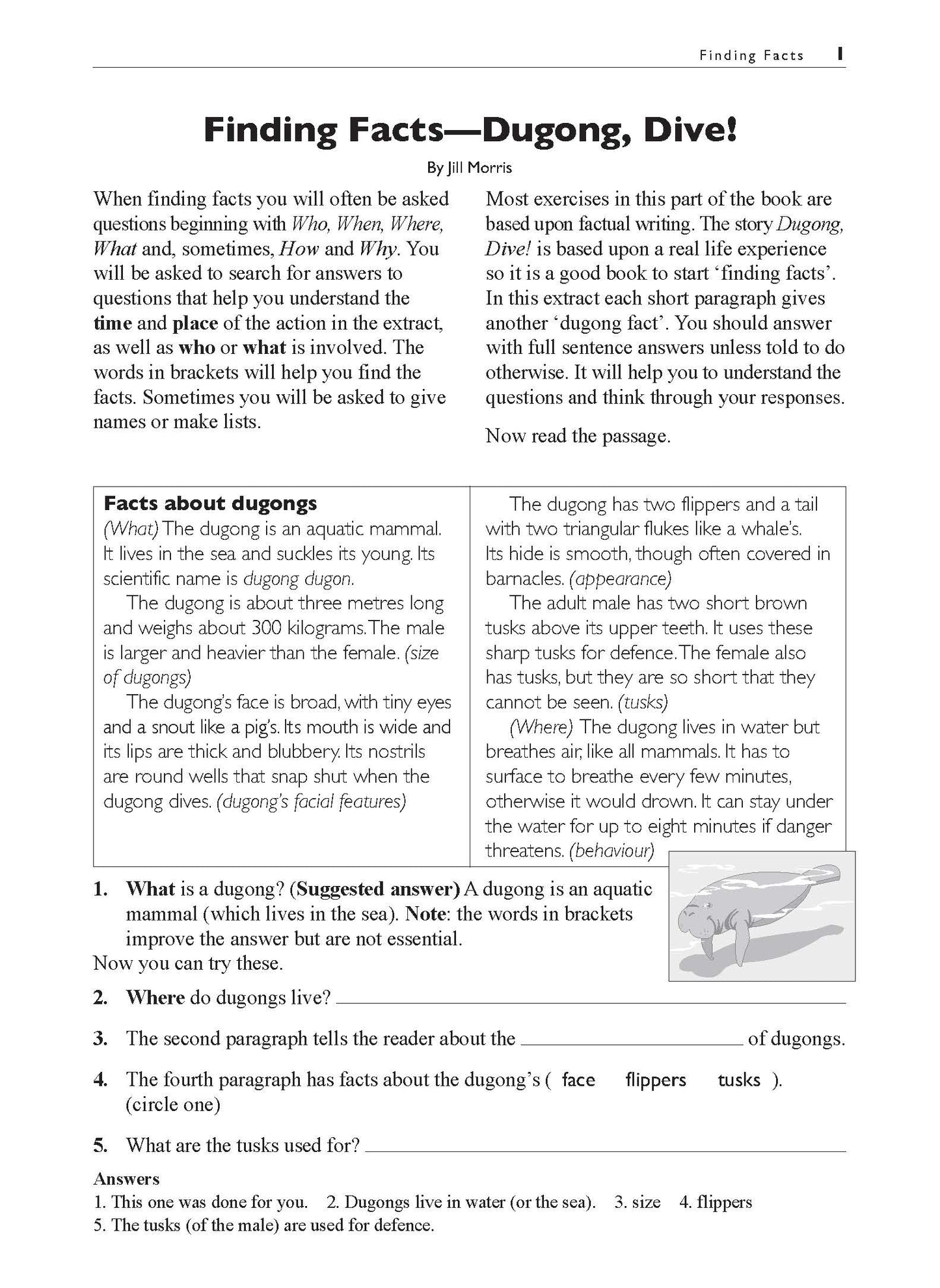 Excel Basic Skills - Comprehension and Written Expression Year 4