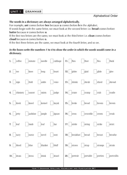 Excel Basic Skills - Grammar, Spelling, Vocabulary and Punctuation Year 7