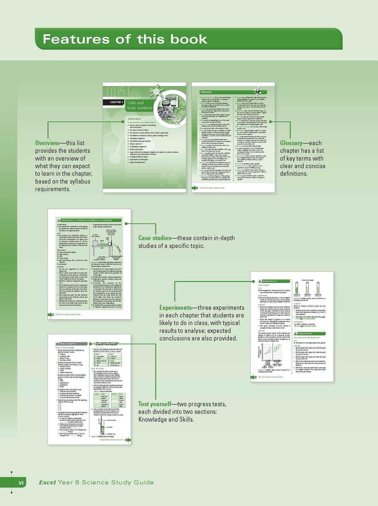 Excel Study Guide - Science Year 8