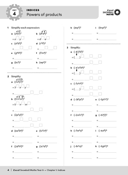 Excel Snowball - Maths Year 9