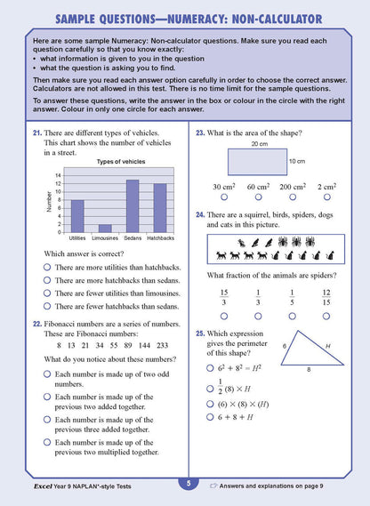 Excel Year 9 NAPLAN*-style Tests