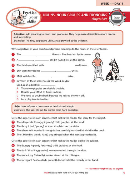 Excel Revise in a Month Year 5 NAPLAN*-style Writing Tests