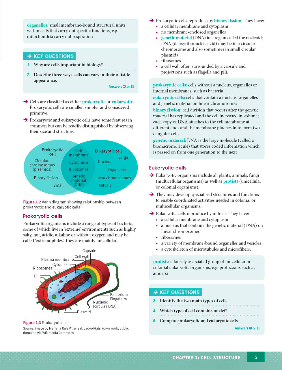 Excel HSC Year 11 Biology Study Guide