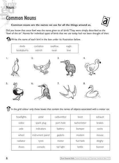 Excel Essential Skills - Student Grammar and Vocabulary Handbook Years 7-8