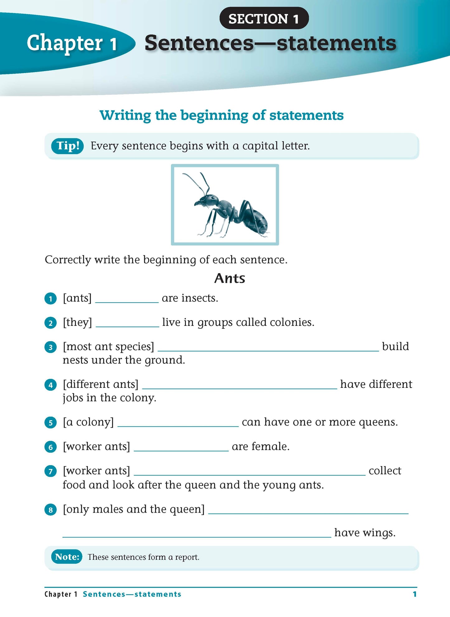 Excel Advanced Skills - Writing Workbook Year 2