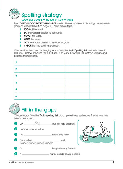 Excel Advanced Skills - Spelling and Vocabulary Workbook Year 1