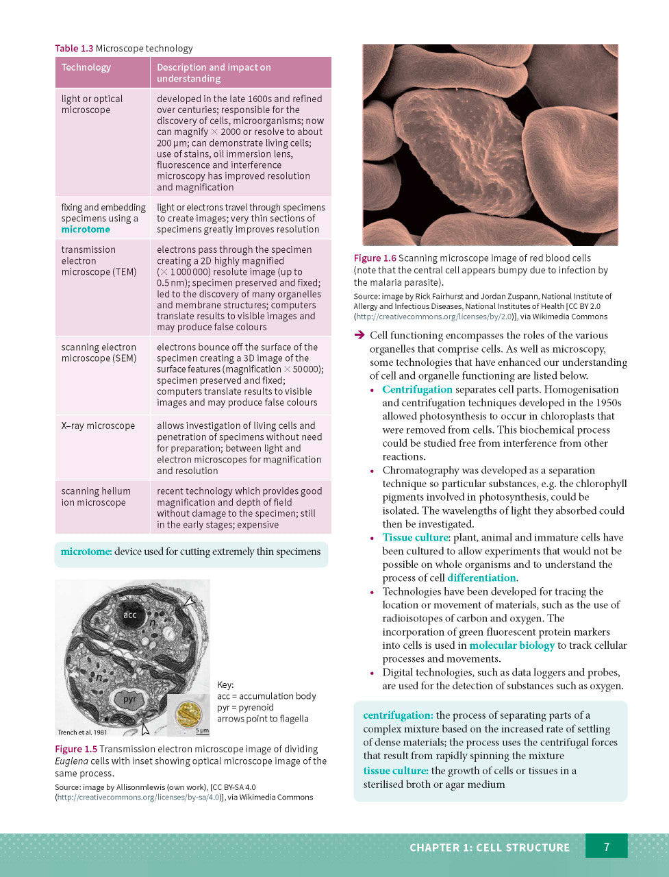 Excel HSC Year 11 Biology Study Guide