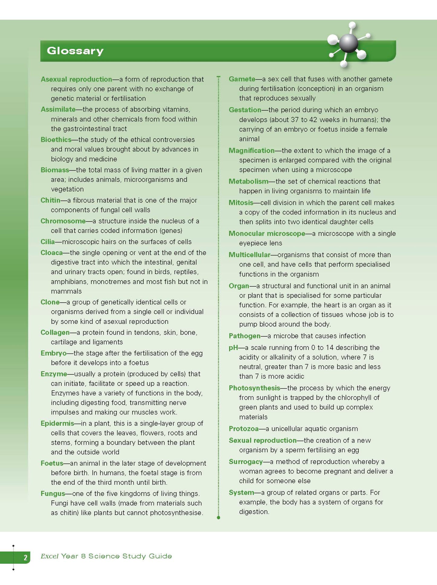 Excel Study Guide - Science Year 8