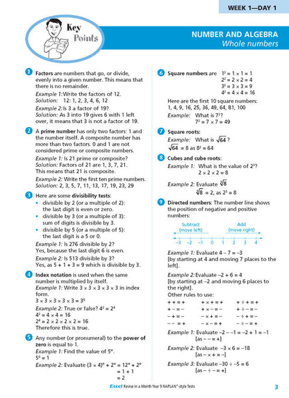 Excel Revise in a Month Year 9 NAPLAN*-style Tests