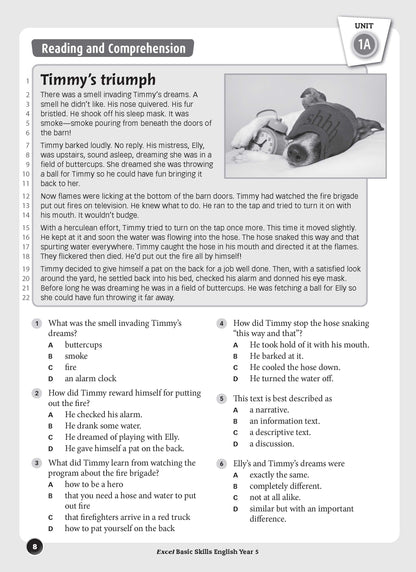 Excel Basic Skills - English Year 5