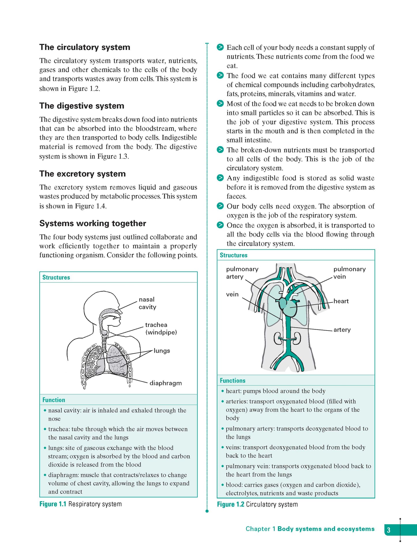 Excel Study Guide - Science Year 9