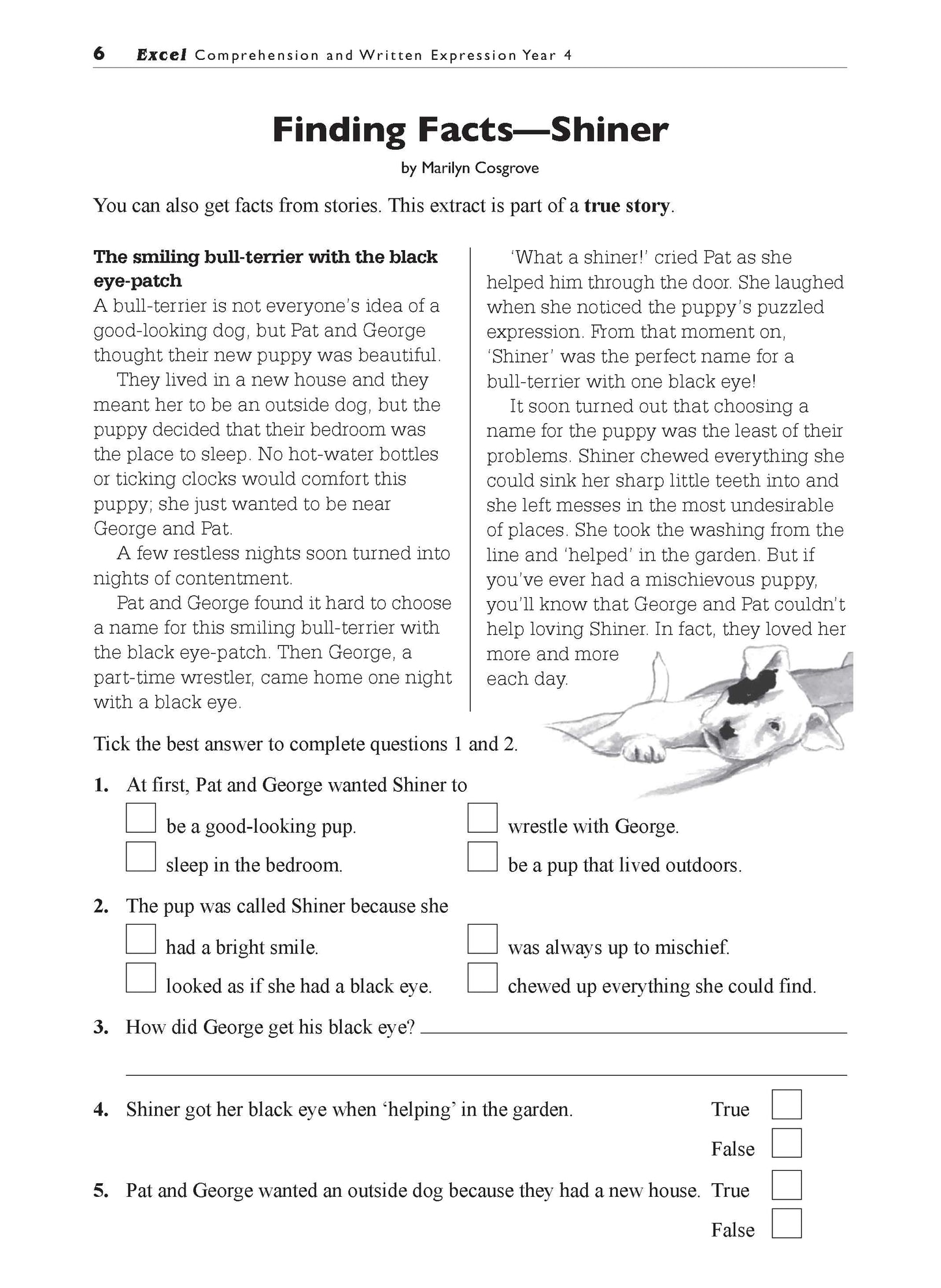 Excel Basic Skills - Comprehension and Written Expression Year 4