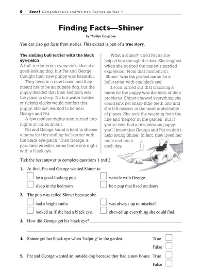 Excel Basic Skills - Comprehension and Written Expression Year 4