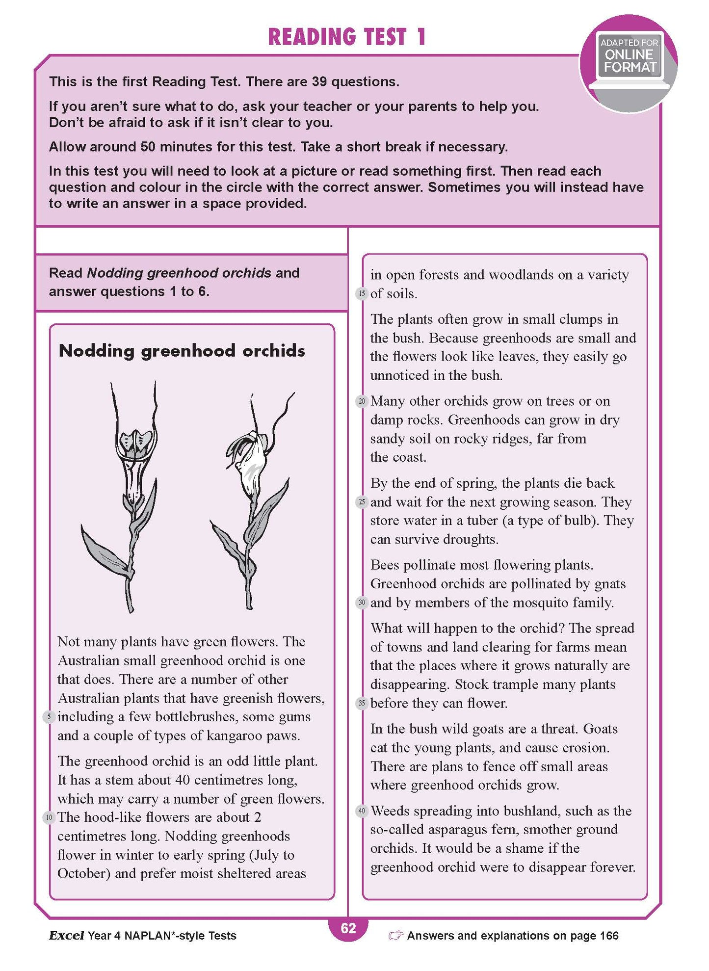 Excel Year 4 NAPLAN*-style Tests