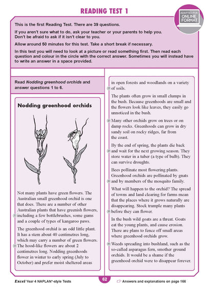 Excel Year 4 NAPLAN*-style Tests