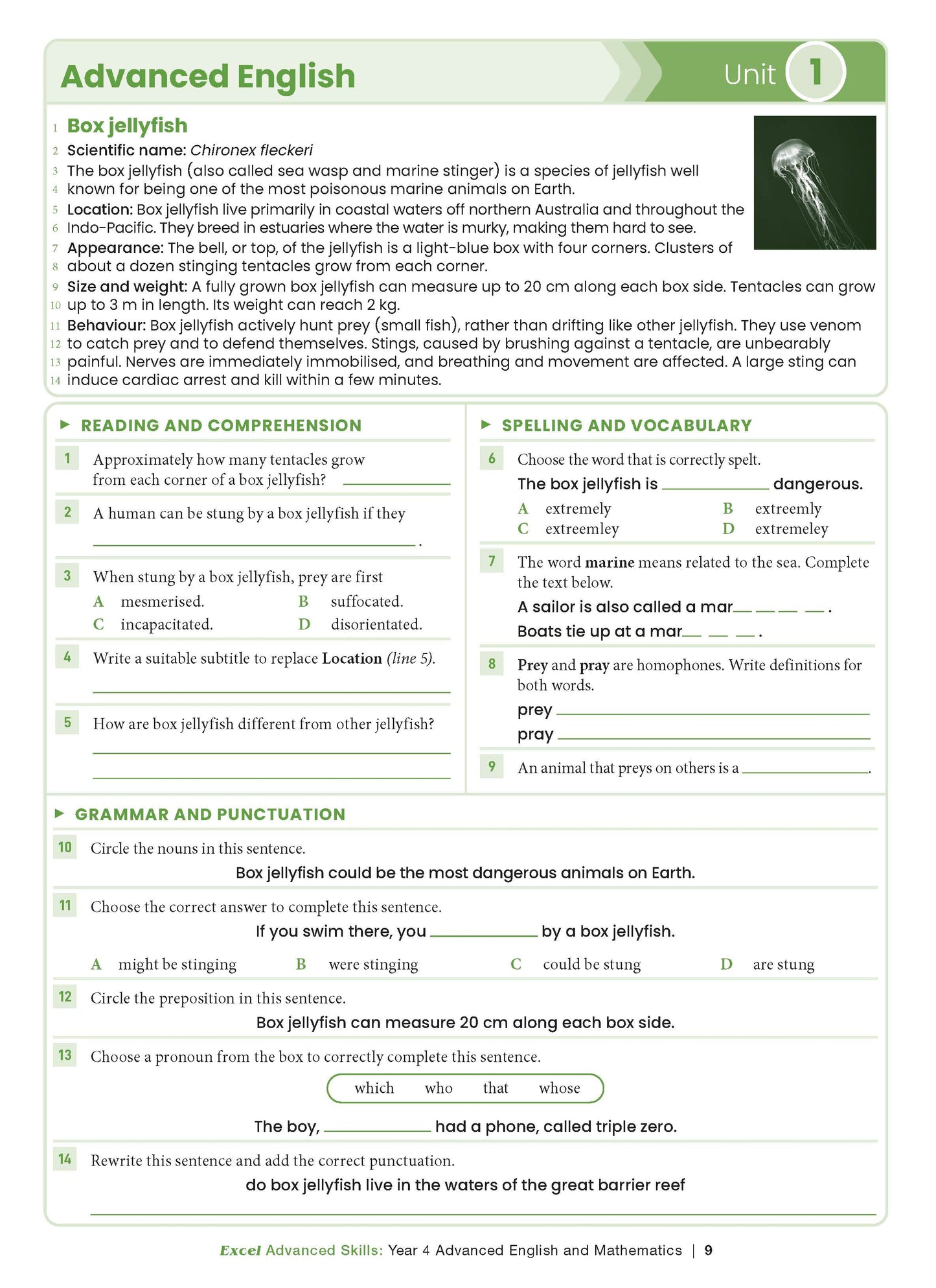 Excel Advanced Skills - Advanced English and Mathematics Year 4