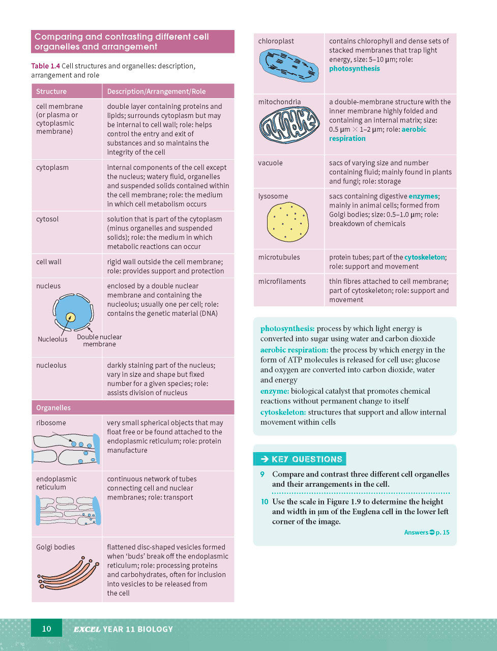Excel HSC Year 11 Biology Study Guide