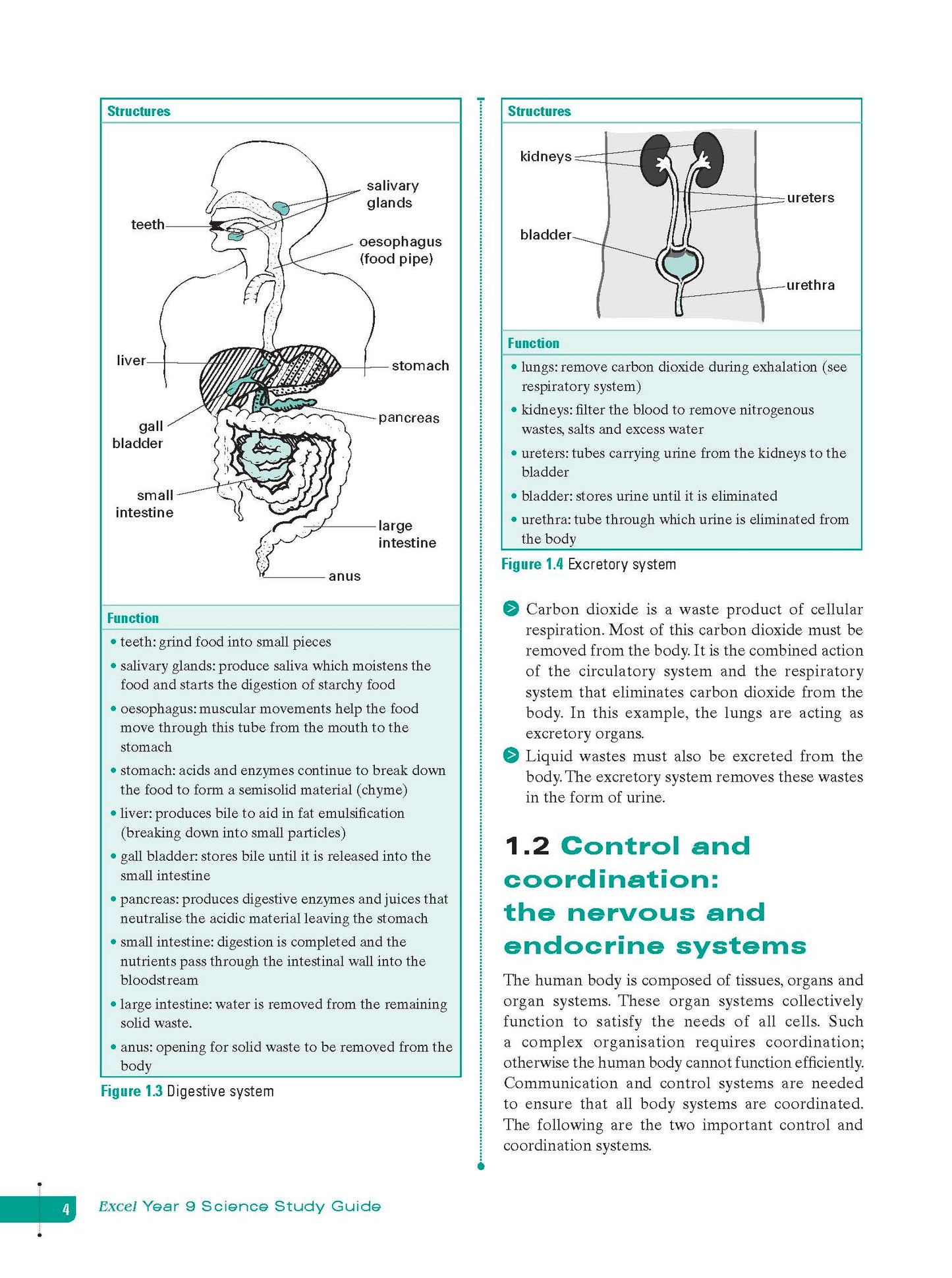 Excel Study Guide - Science Year 9