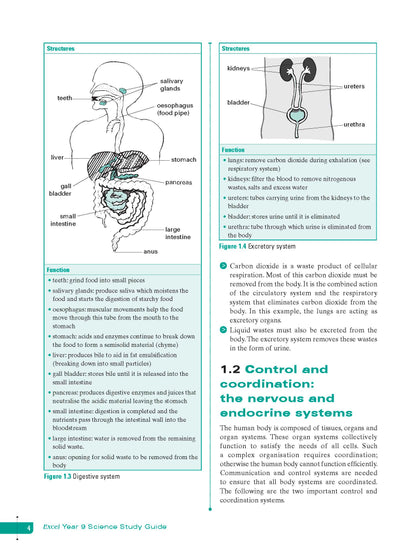 Excel Study Guide - Science Year 9
