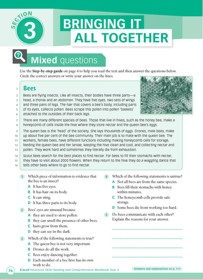 Excel Advanced Skills - Reading and Comprehension Workbook Year 3