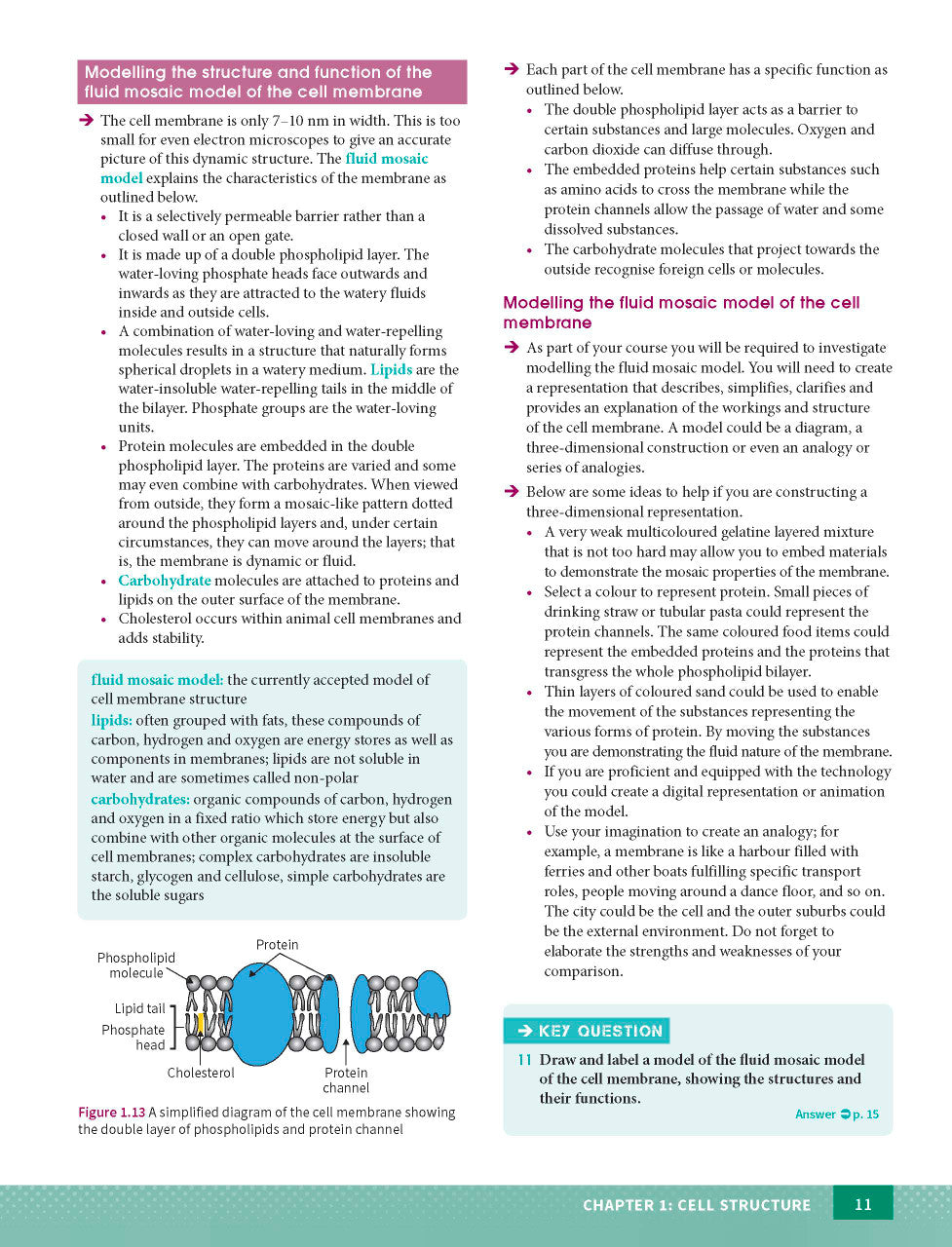 Excel HSC Year 11 Biology Study Guide