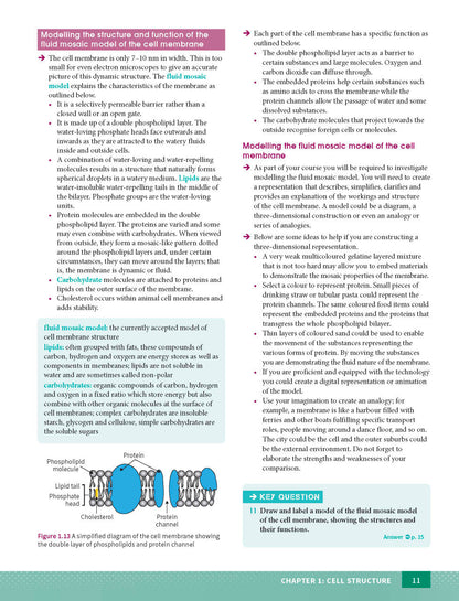 Excel HSC Year 11 Biology Study Guide