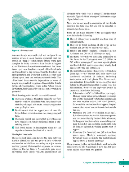 Excel Study Guide - Science Year 10