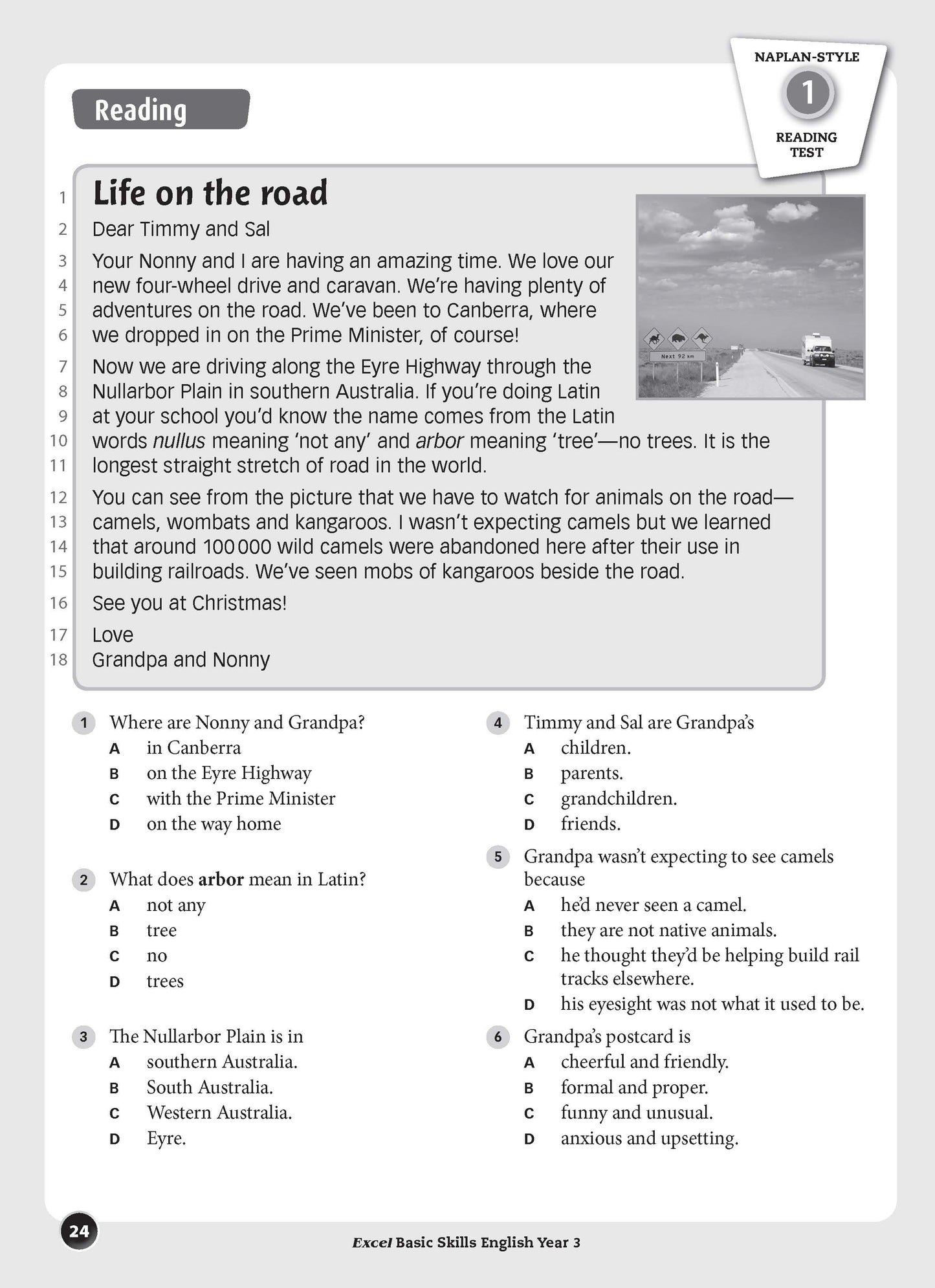 Excel Basic Skills - English Year 3