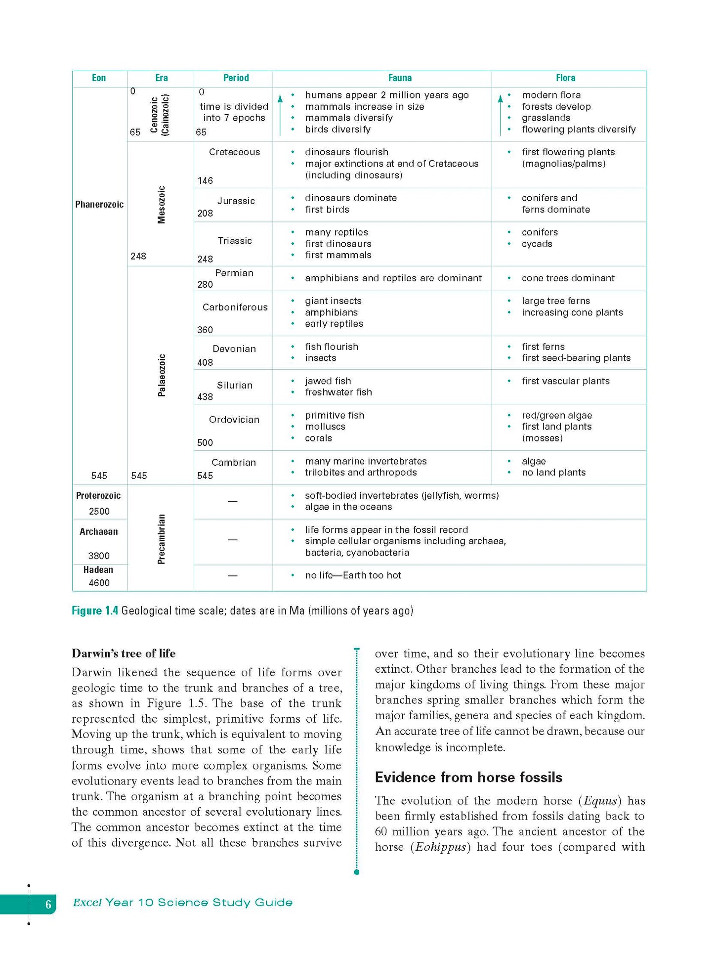 Excel Study Guide - Science Year 10