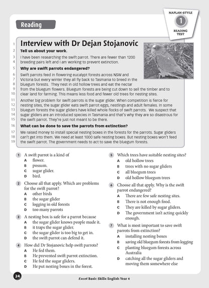 Excel Basic Skills - English Year 6