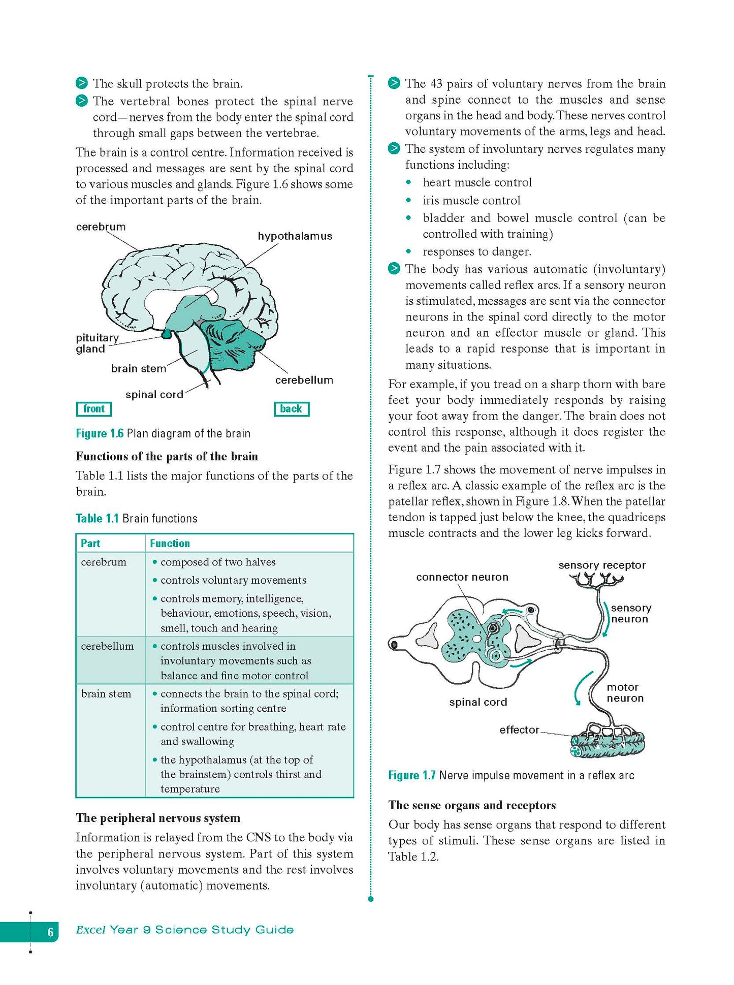 Excel Study Guide - Science Year 9