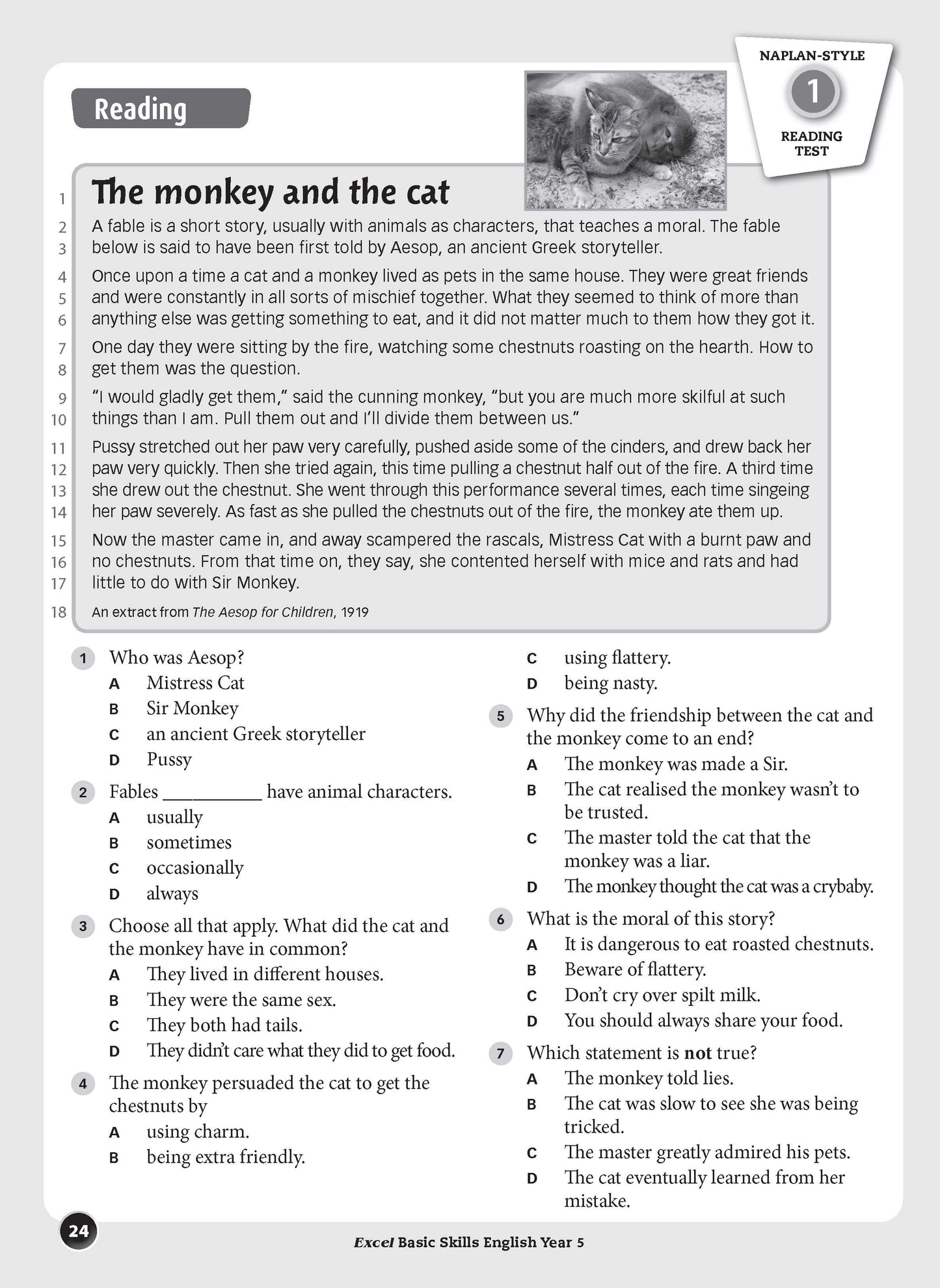 Excel Basic Skills - English Year 5