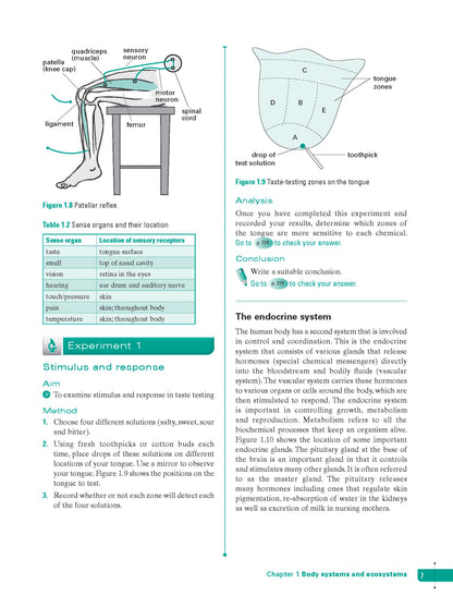 Excel Study Guide - Science Year 9
