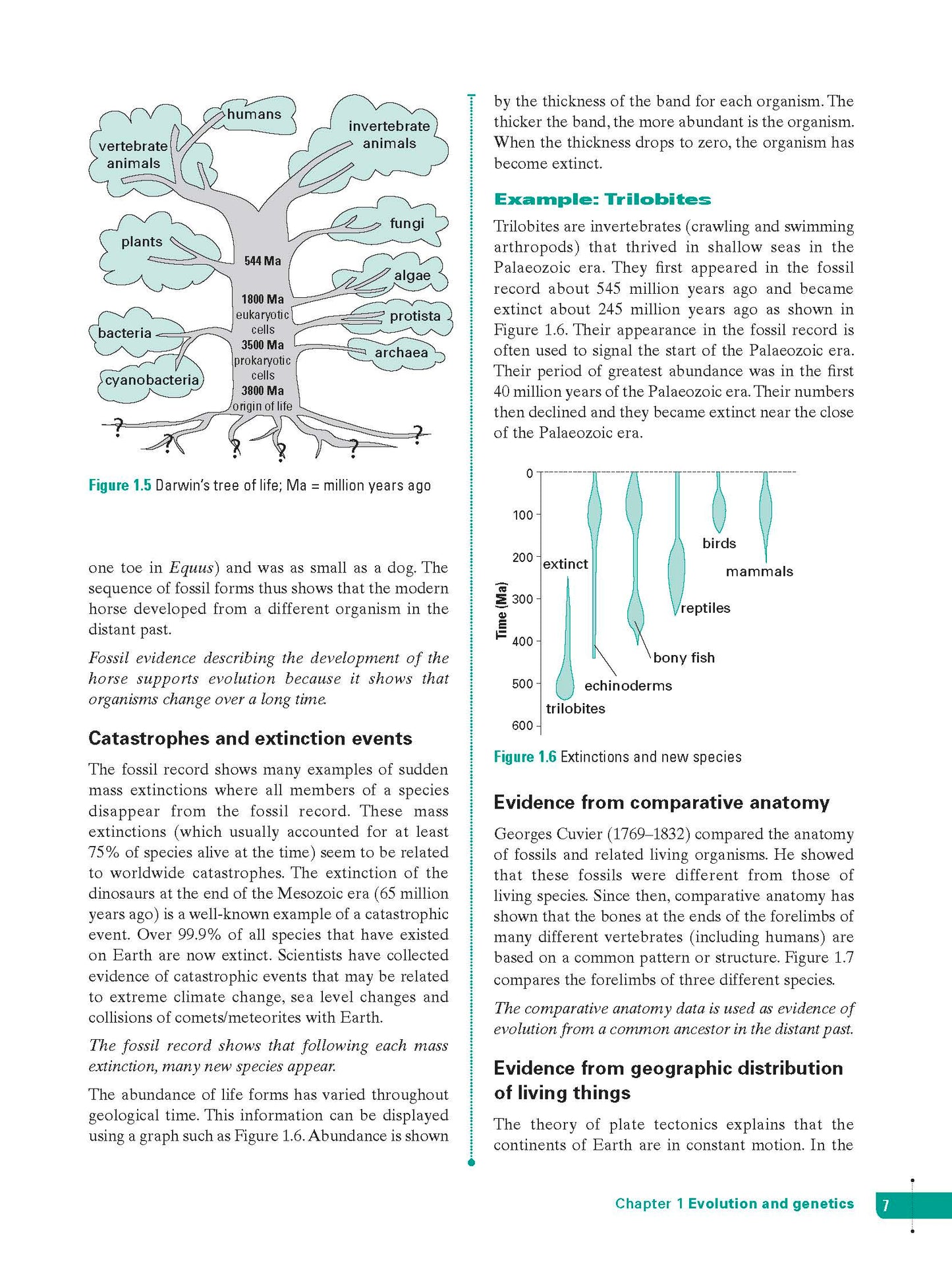 Excel Study Guide - Science Year 10