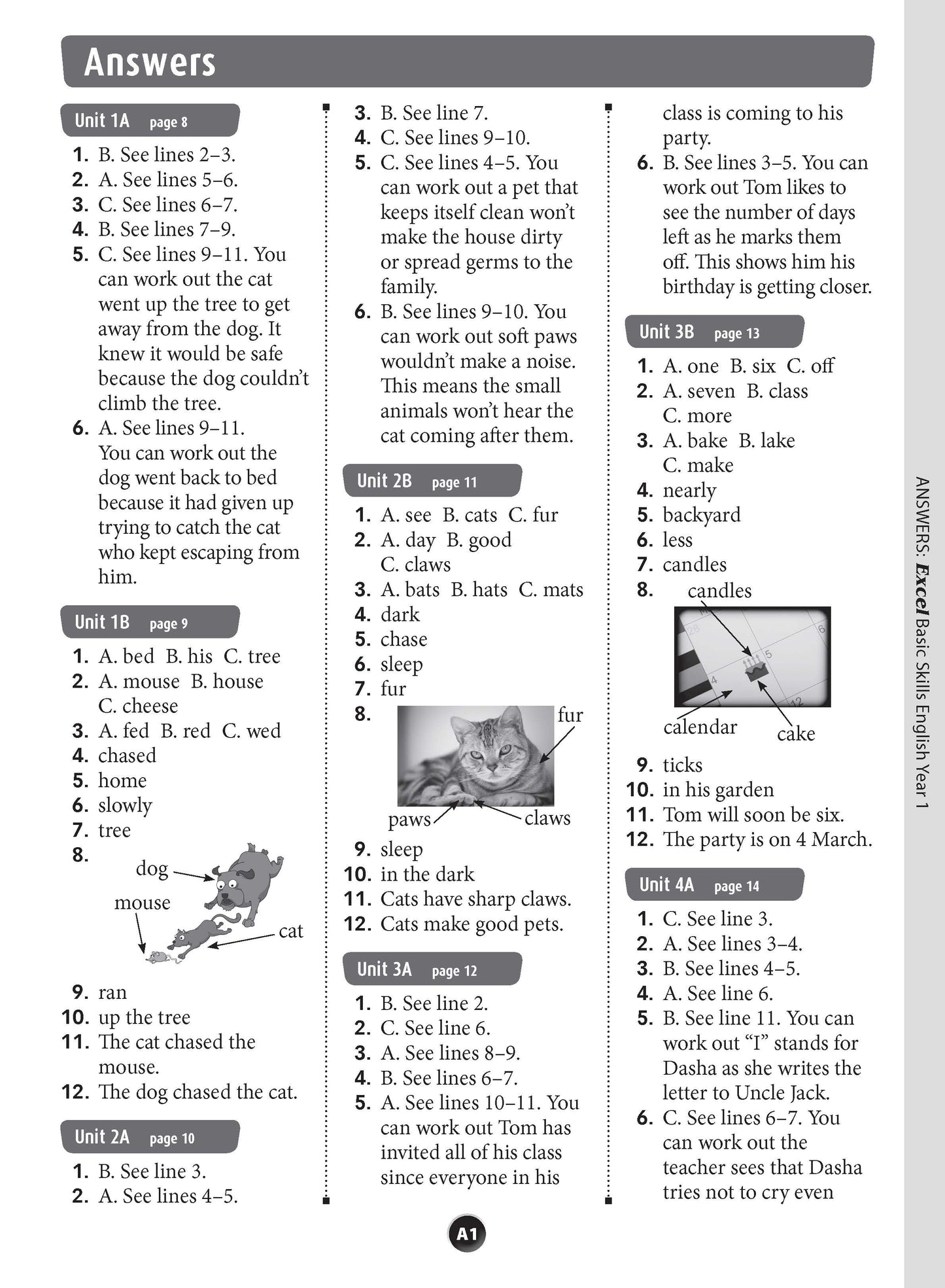 Excel Basic Skills - English Year 1