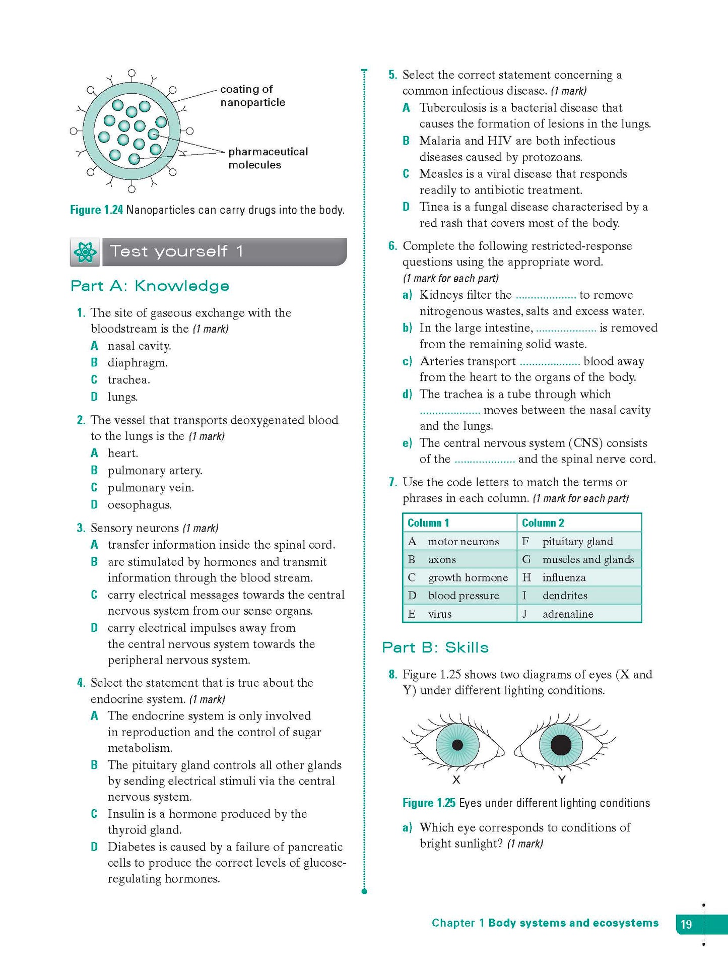Excel Study Guide - Science Year 9