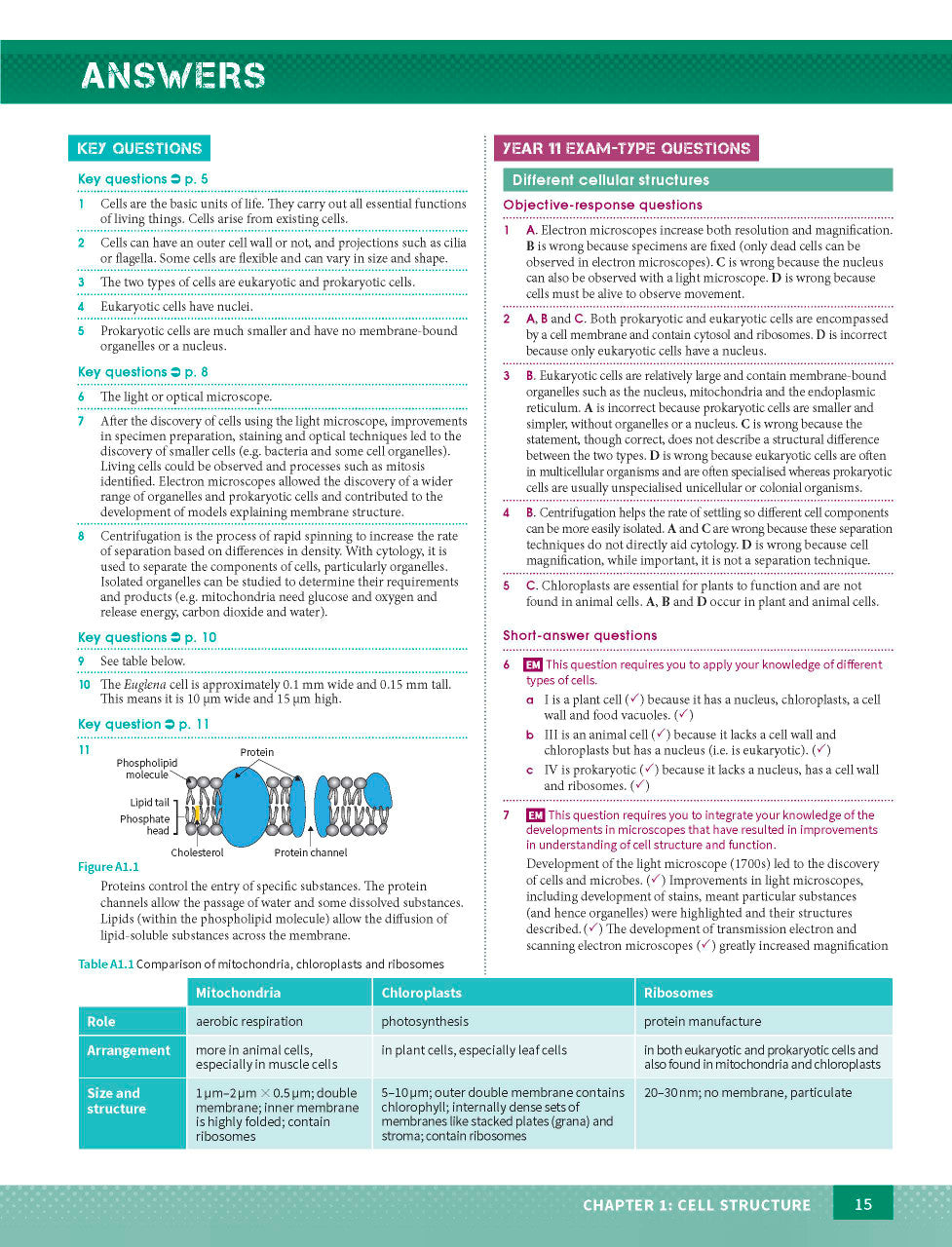 Excel HSC Year 11 Biology Study Guide