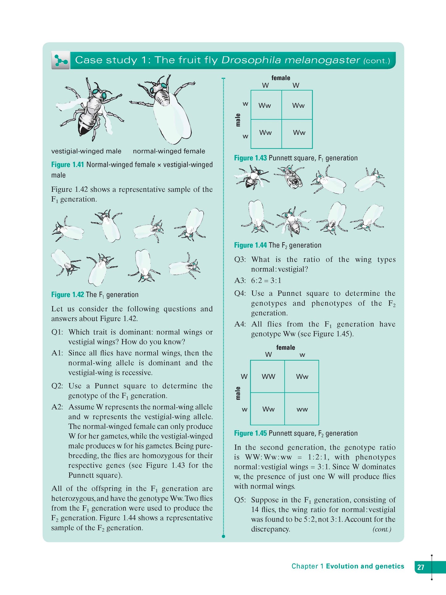 Excel Study Guide - Science Year 10