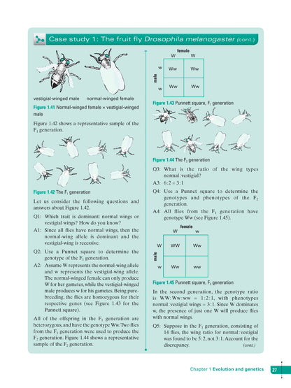 Excel Study Guide - Science Year 10