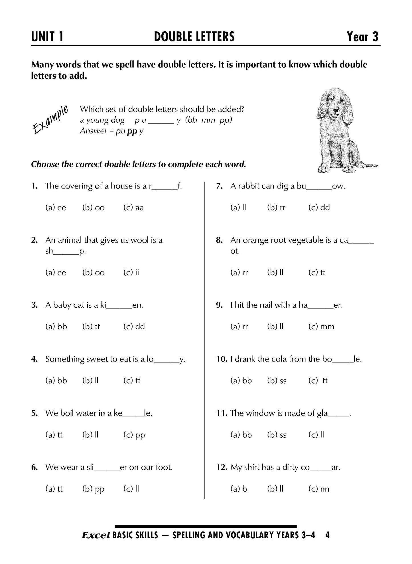 Excel Basic Skills English Book Pack Years 3-4