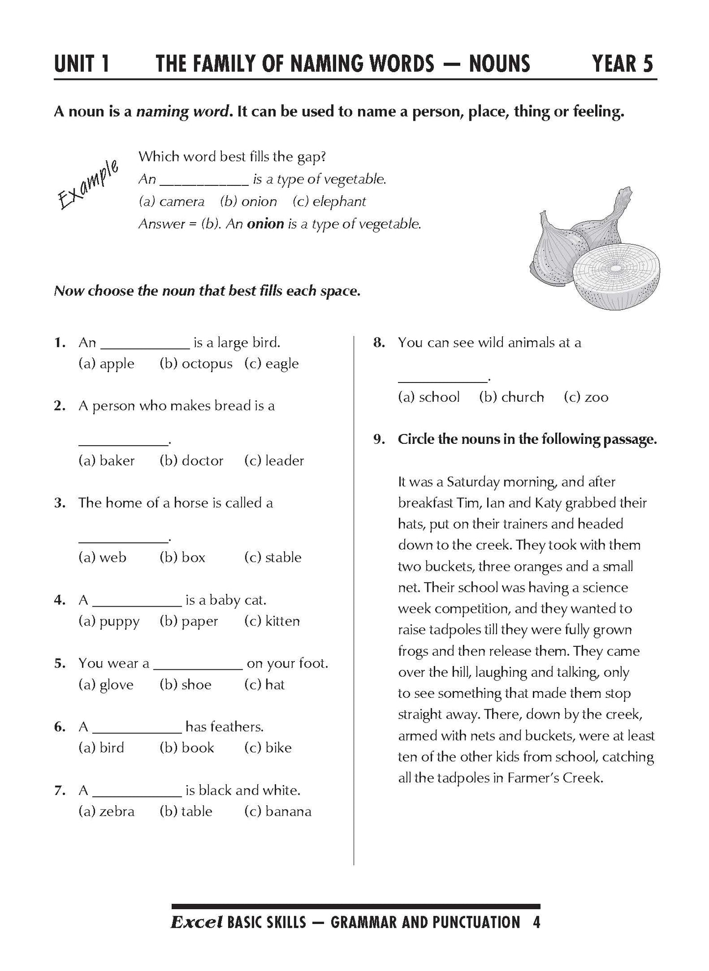 Excel Basic Skills English Book Pack Years 5-6