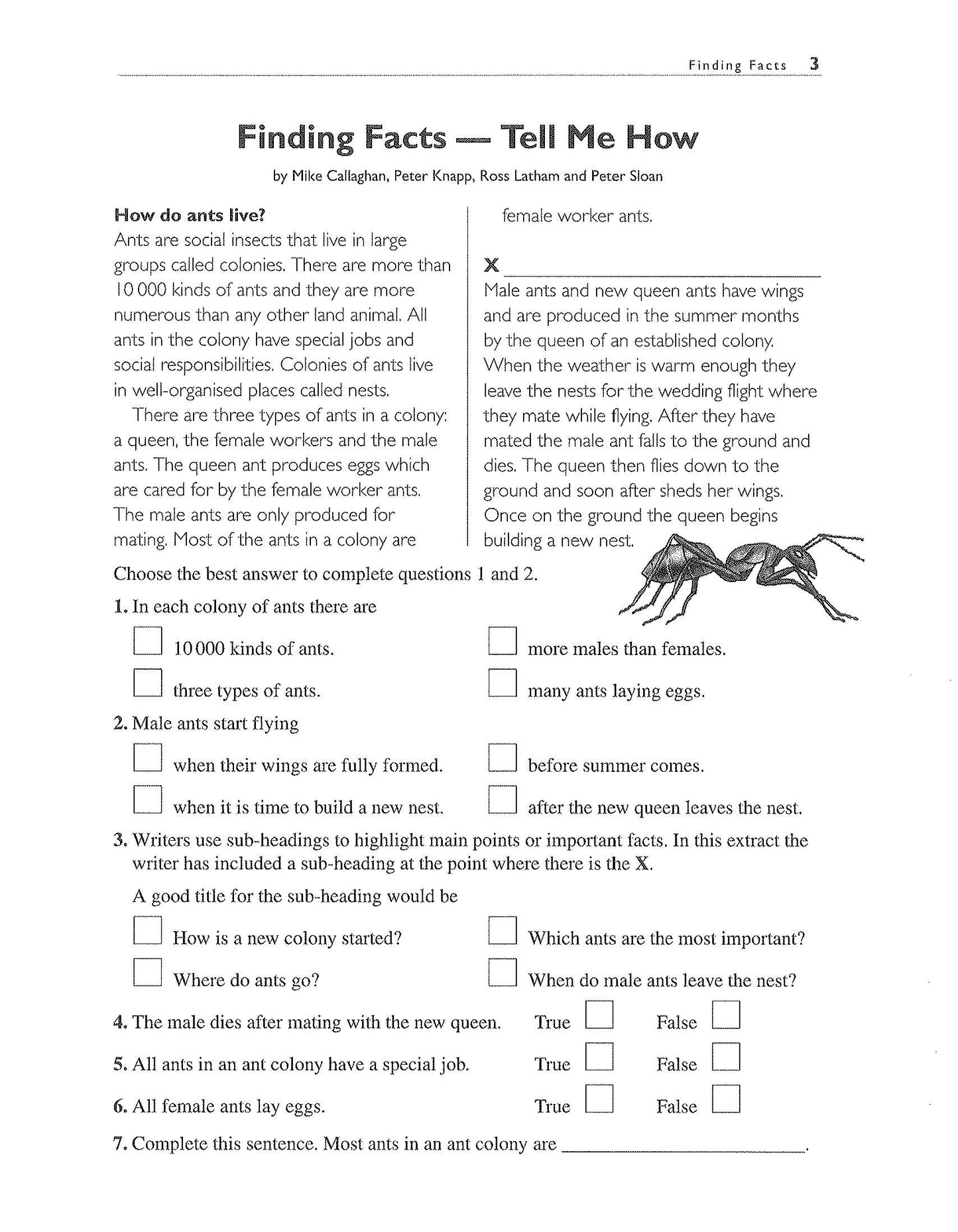 Excel Basic Skills - Comprehension and Written Expression Year 5