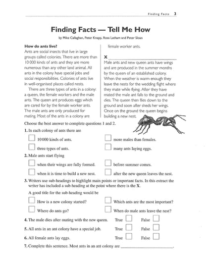 Excel Basic Skills - Comprehension and Written Expression Year 5