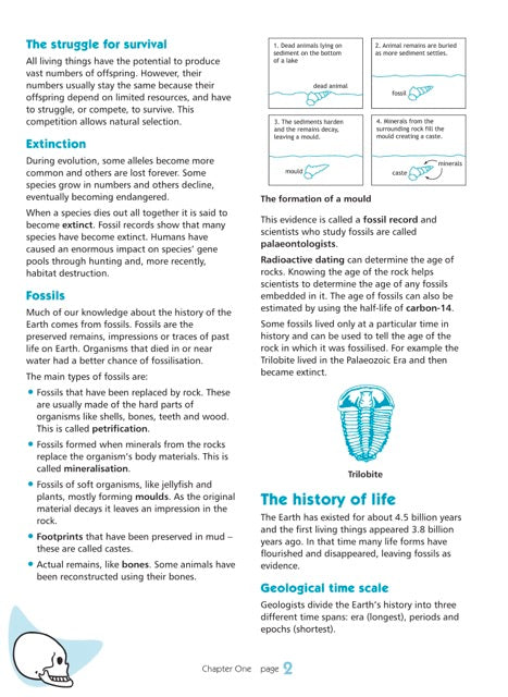 Excel Essential Skills - Science Revision Workbook Year 10