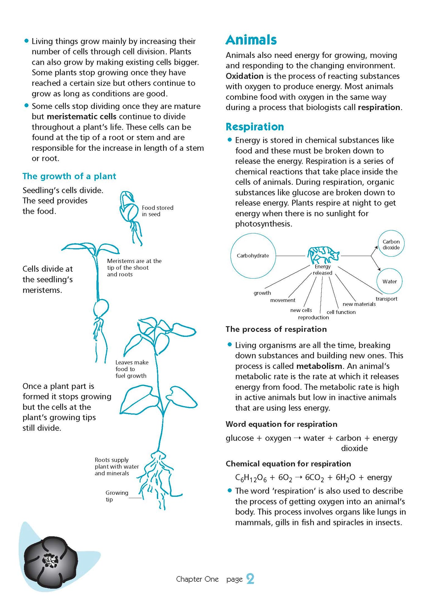 Excel Essential Skills - Science Revision Workbook Year 9