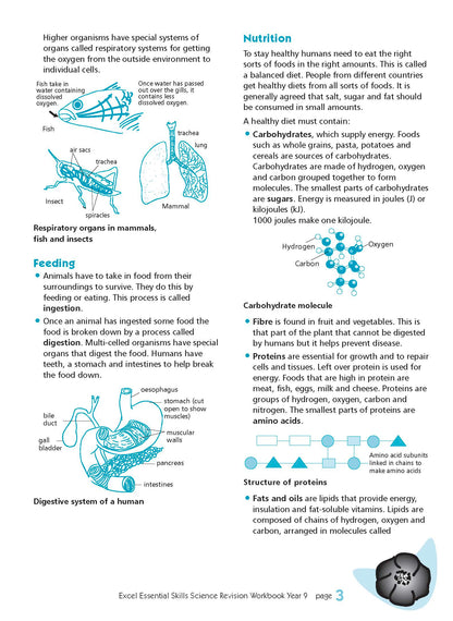 Excel Essential Skills - Science Revision Workbook Year 9